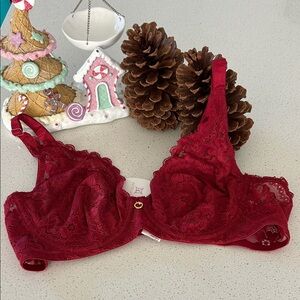 Elegant Red Lace Bra